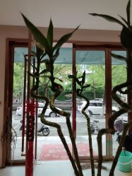 点击看大图 -Dr.林醫生产后修复·配方产康店(南京大厂店)