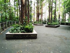 -南岗山公园