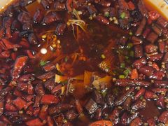 -院8里·少城记忆老川菜(宽窄巷子店)