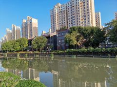 -三林塘老街