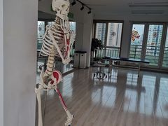 -森诺运动康复中心(北苑店)