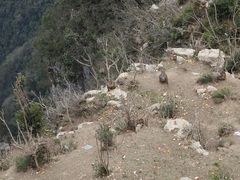 -重庆云阳龙缸景区