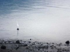 -淡水老街