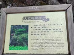-华祥苑茶馆•国缤茶小蓝罐(普罗旺斯店)
