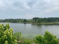 -东郊湿地公园