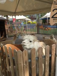 -萌宠亲子动物乐园(槐房万达店)