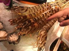 -鲜入围煮花胶鸡海鲜火锅