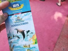 -东湖欢乐水世界