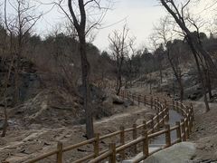 -白水寺森林公园