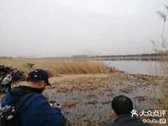 -绿堤公园