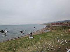 -青海湖国家重点风景名胜区