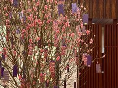 -香港尖沙咀凯悦酒店