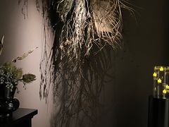 -安屿an·spa(卓悦中心商场店)
