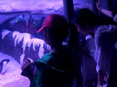 -暹罗海洋世界