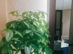 -沪碟·精菜坊(闵行店)