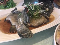 -小白鲨工夫潮膳(曲江店)