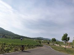 -大连铭湖国际观光牧场