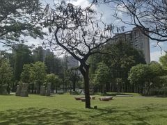 -四海公园(南山区)