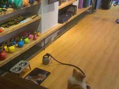 -YCHL Studios健身工作室(市二宫店)