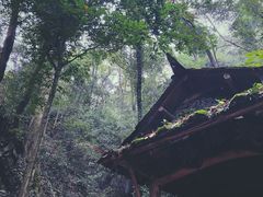 -青城山