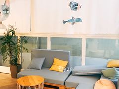 -有猫主题·治愈系猫咖(曾厝垵店)