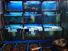 -老东镇啤酒屋海鲜加工·蒸汽海鲜·海鲜烧烤(台东店)