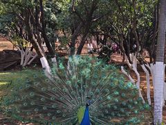 -昆明动物园
