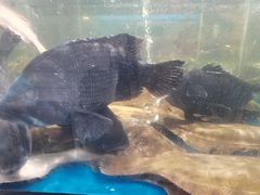-澜小宴·锦绣江南(金沙滩店)