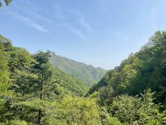-王顺山国家森林公园
