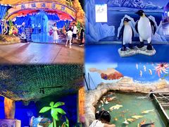 -无锡动物园·太湖欢乐园