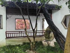 -秋霞圃