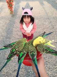 -萌宠亲子动物乐园(槐房万达店)