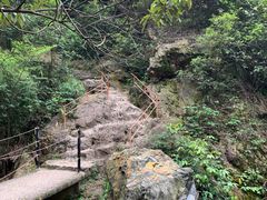 -南海湾森林生态园