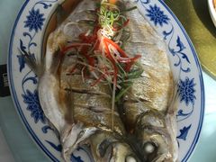 清蒸白丝鱼-状元楼(金溪路店)