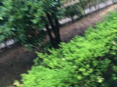 -花岙岛