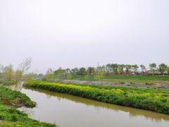 -洨河生态公园