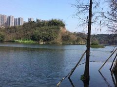 -重庆彩云湖湿地公园