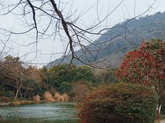 -八卦田遗址公园