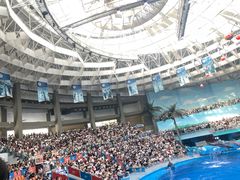 -海合安成都极地海洋公园