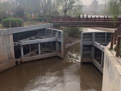 -水车博览园