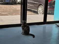 -佳怡动物医院·平价24小时·猫专科骨外科