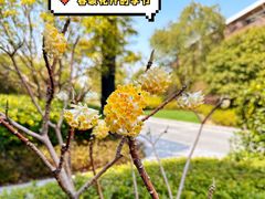 -水月周庄铂尔曼酒店-水月荟中餐厅