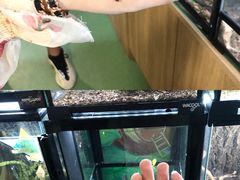 -藦茜花园宠物主题亲子互动体验馆(国顺东路店)