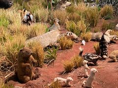 -陕西自然博物馆