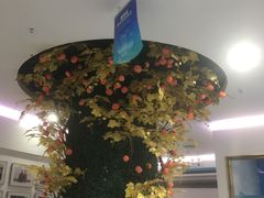 -美可普口腔医院(宝龙标杆店)
