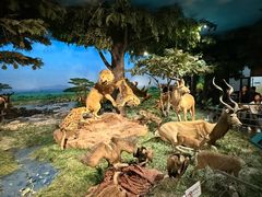 -国家自然博物馆