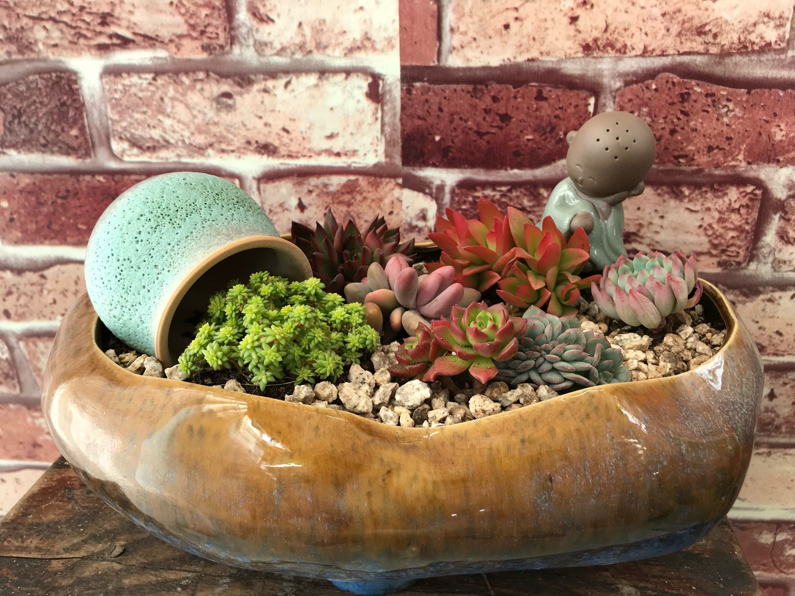 亲手制作,美丽的肉肉拼盘