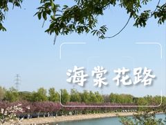 -羊山湖公园