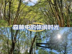 -西溪南古村落景区