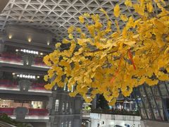 -阿大排档(长春这有山店)